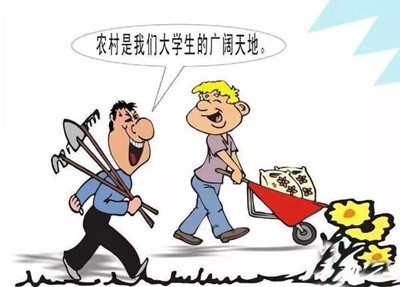 考公、考研難度高，應屆生你還有4種選擇