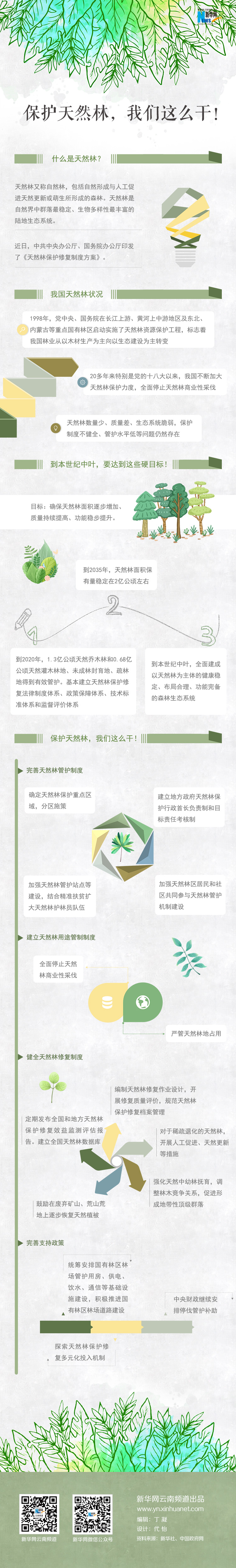 2020年國(guó)家公務(wù)員考試時(shí)政：保護(hù)天然林，我們這么干！